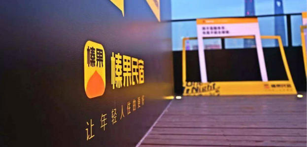 美团多个核心商标被驳回，美团榛果民宿改名隐情曝光？