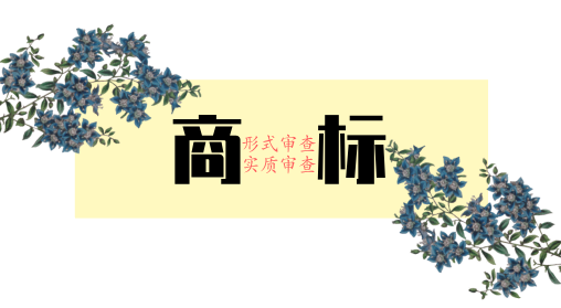 商标的形式审查和实质审查，分别查什么？了解之后成功率翻倍！