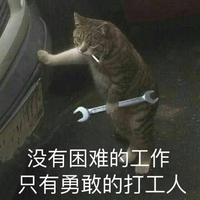 这些年度热词也不能幸免！被抢注！