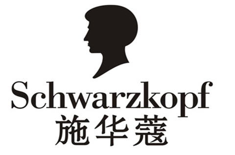 施华蔻染发剂不合规被罚79万，染发剂商标属于第几类？