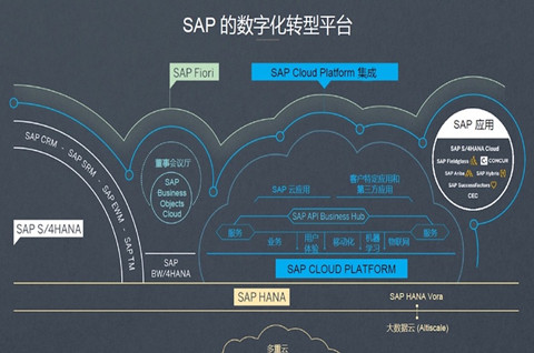 谷歌云试图抢占 SAP 软件云市场，软件商标注册需要注册几类？