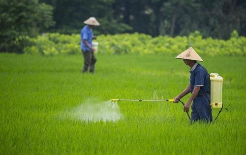 除草剂商标转让的类别怎么选择？