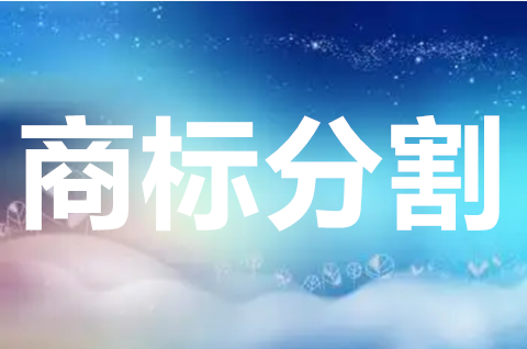 商标驳回分割申请怎么提交？商标分割申请有哪些类型？