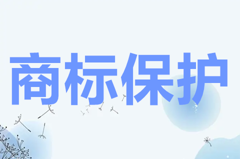 商标权的保护途径有哪些？商标权的保护范围如何界定？
