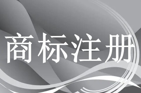 商标注册申请被驳回怎么办？商标注册后需要备案吗？