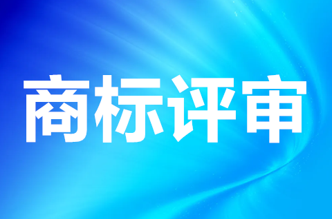 首次向商标评审委员会提交的申请材料有哪些？需要注意哪些？