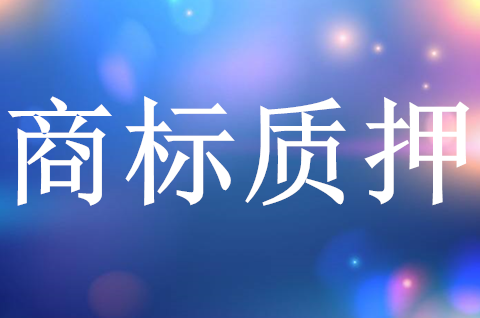 农行安陆支行成功落地首笔商标权质押贷款，商标权质押贷款怎么办理？