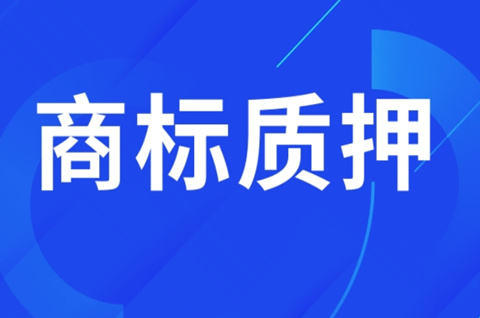 孝感过商标专用权质押融资额达到3.15亿元